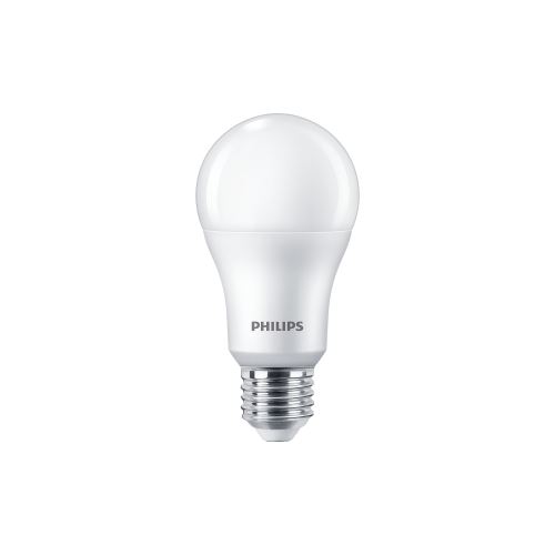LED žárovka Philips, E27, 13W/100W, A60, 6500K    P169258_1